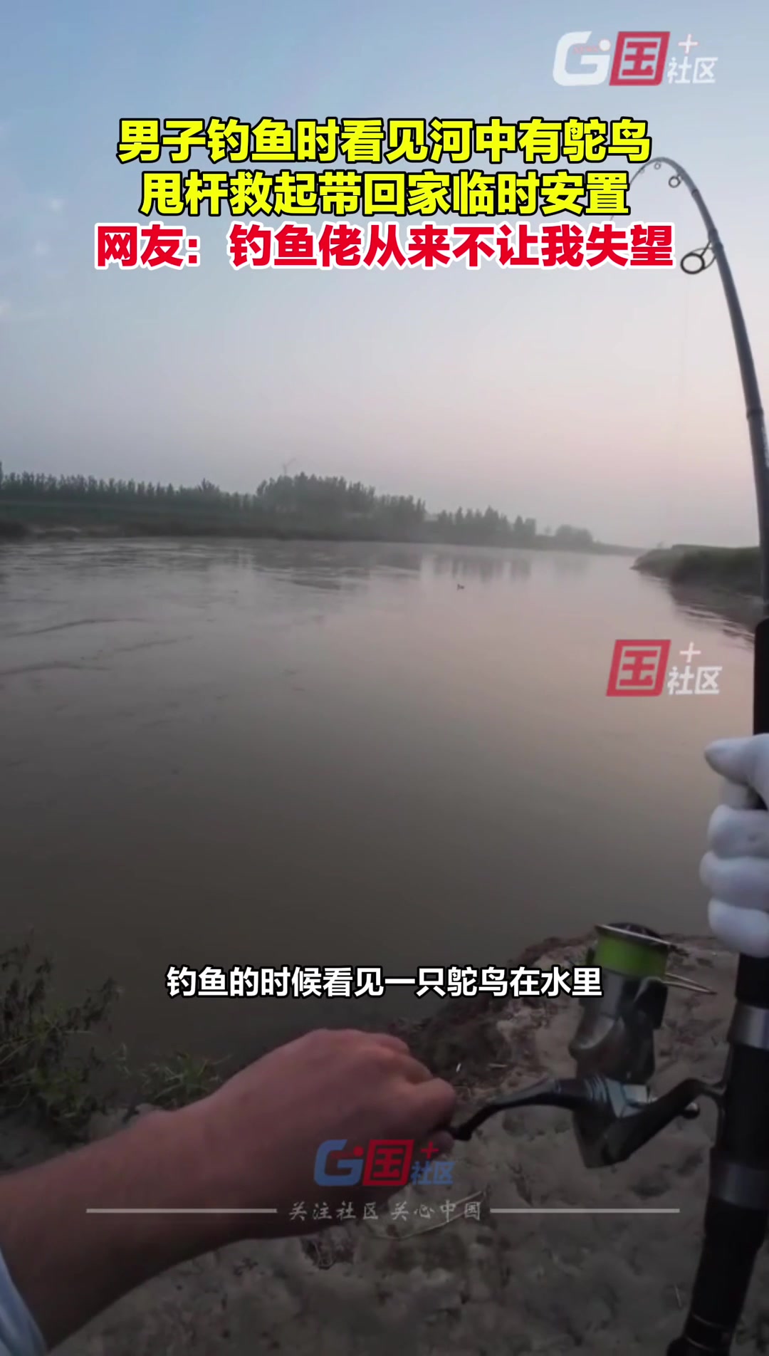 男子钓鱼看见河中有落难鸵鸟，将其救起