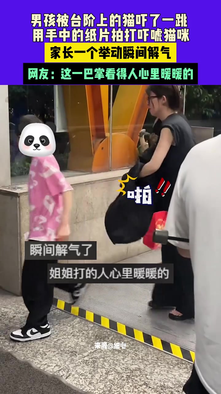 网友：这一巴掌看得人心里暖暖的