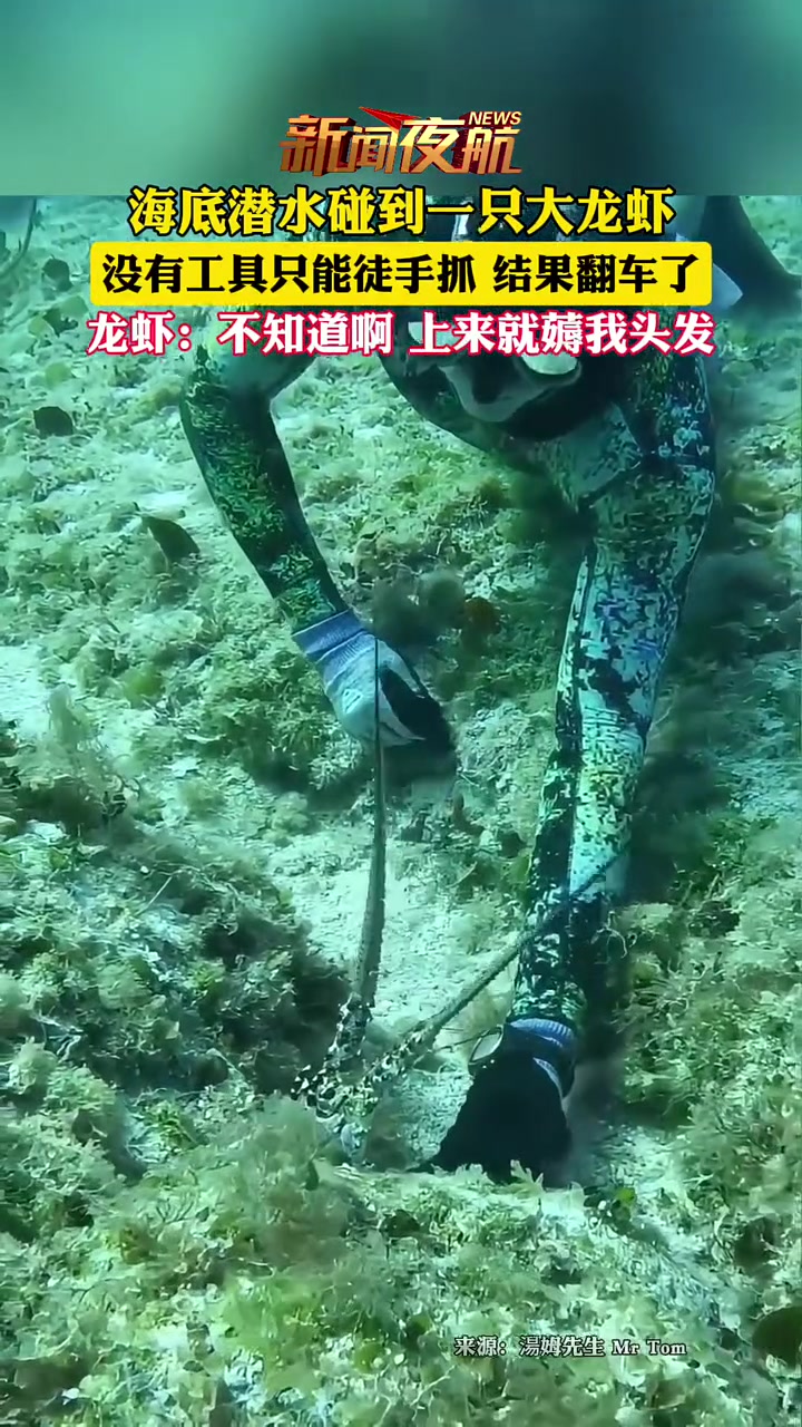 海底潜水碰到一只大龙虾，没有工具徒手抓，结果翻车了！