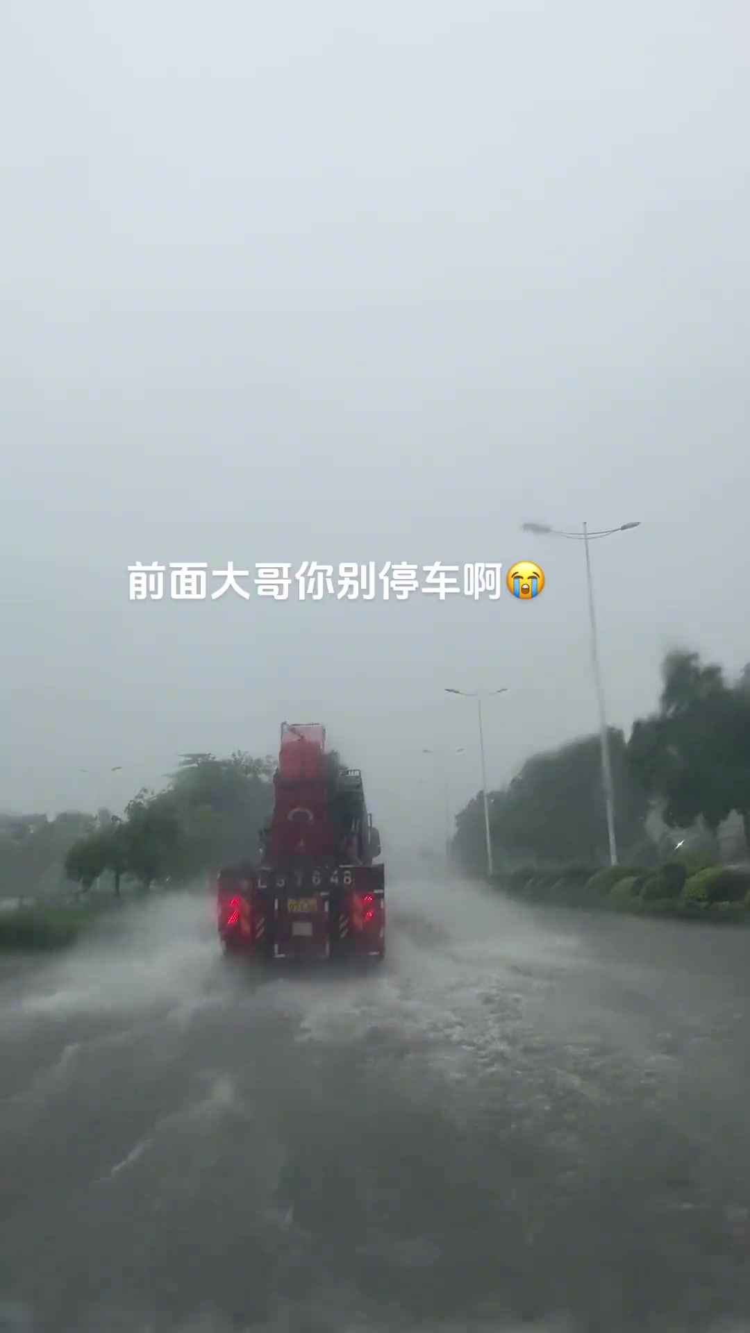 水位起码下降五十公分