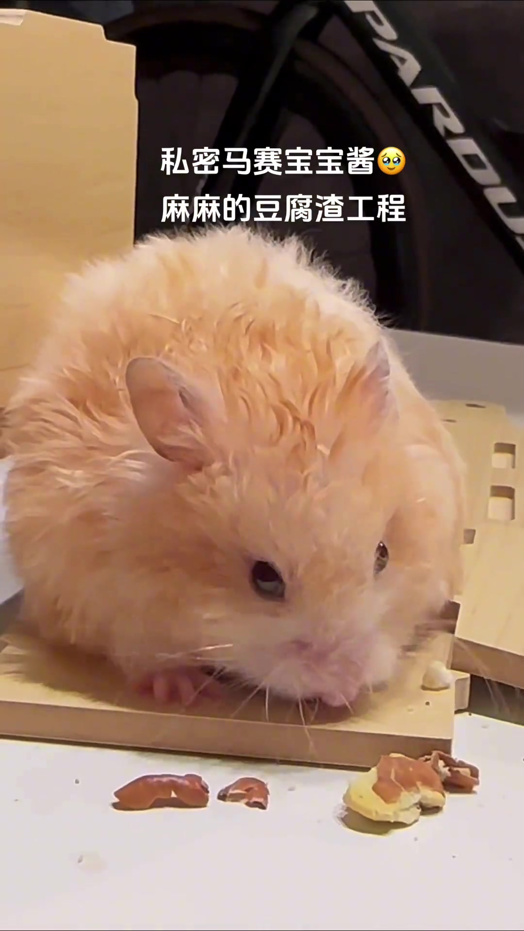 家徒四、三、二、一壁！