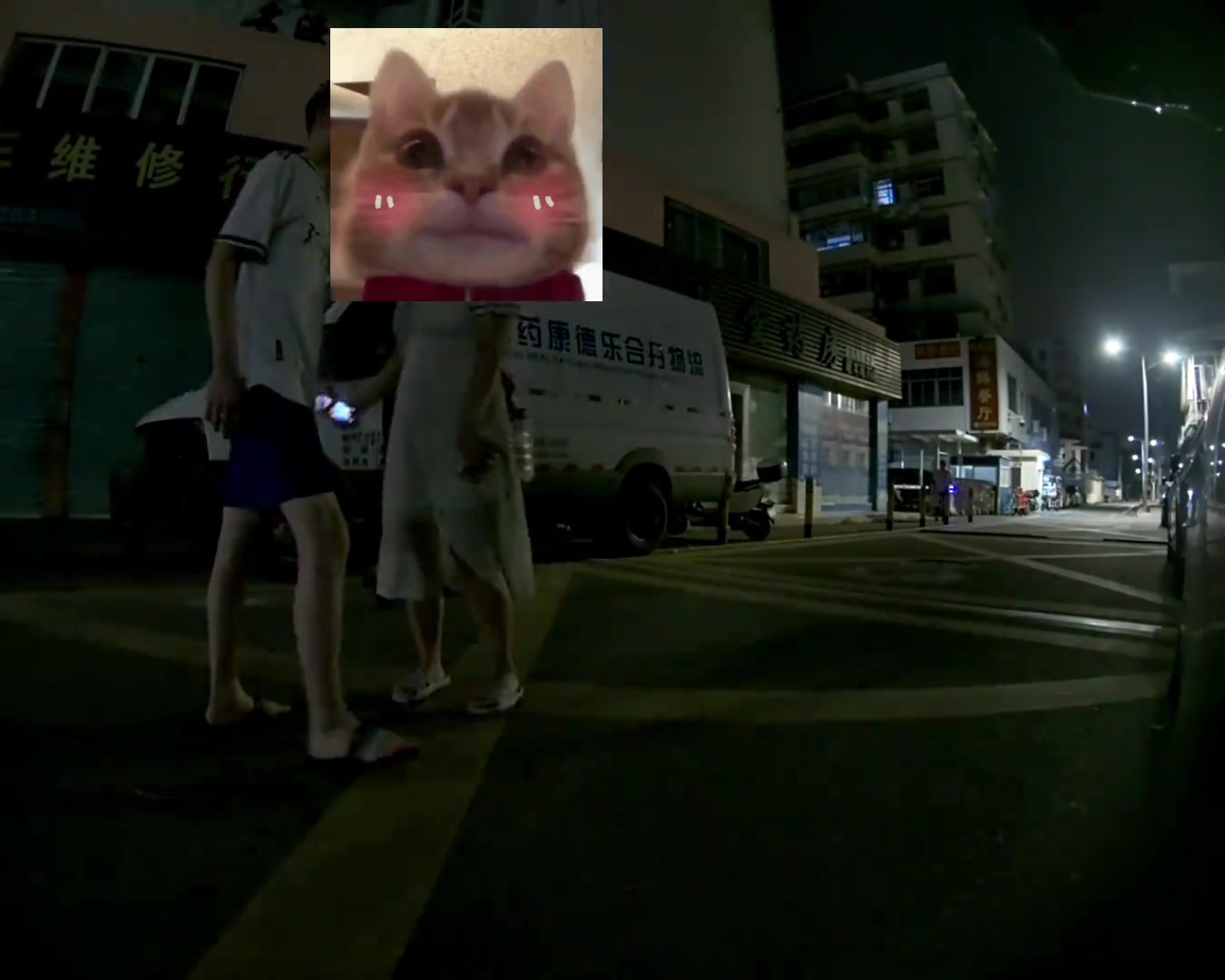 这位老哥一脚飞踢摔下来也是有点喜人