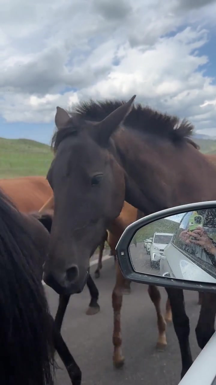 马：让你偷拍，折你后视镜