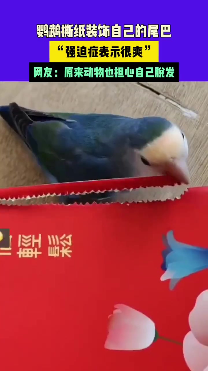 难道我们的沿虚线撕开是这个家伙干的