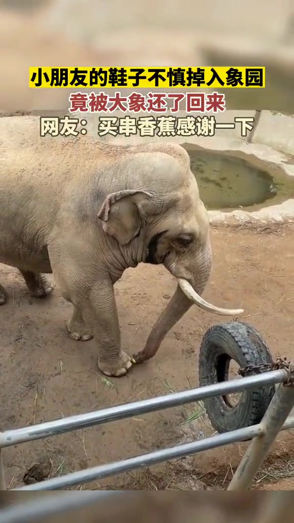 不是，我鞋子给你了，不给点啥