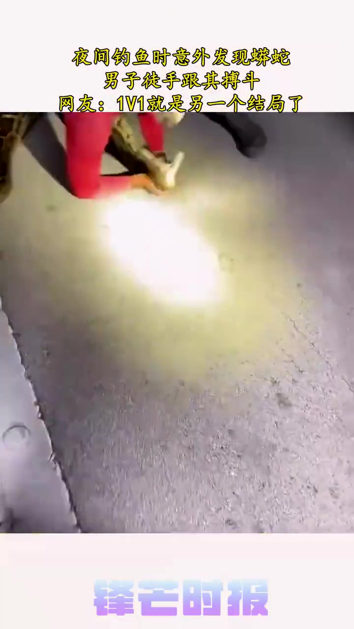 男子夜间意外发现蟒蛇！要是1V1就是另一个结局了