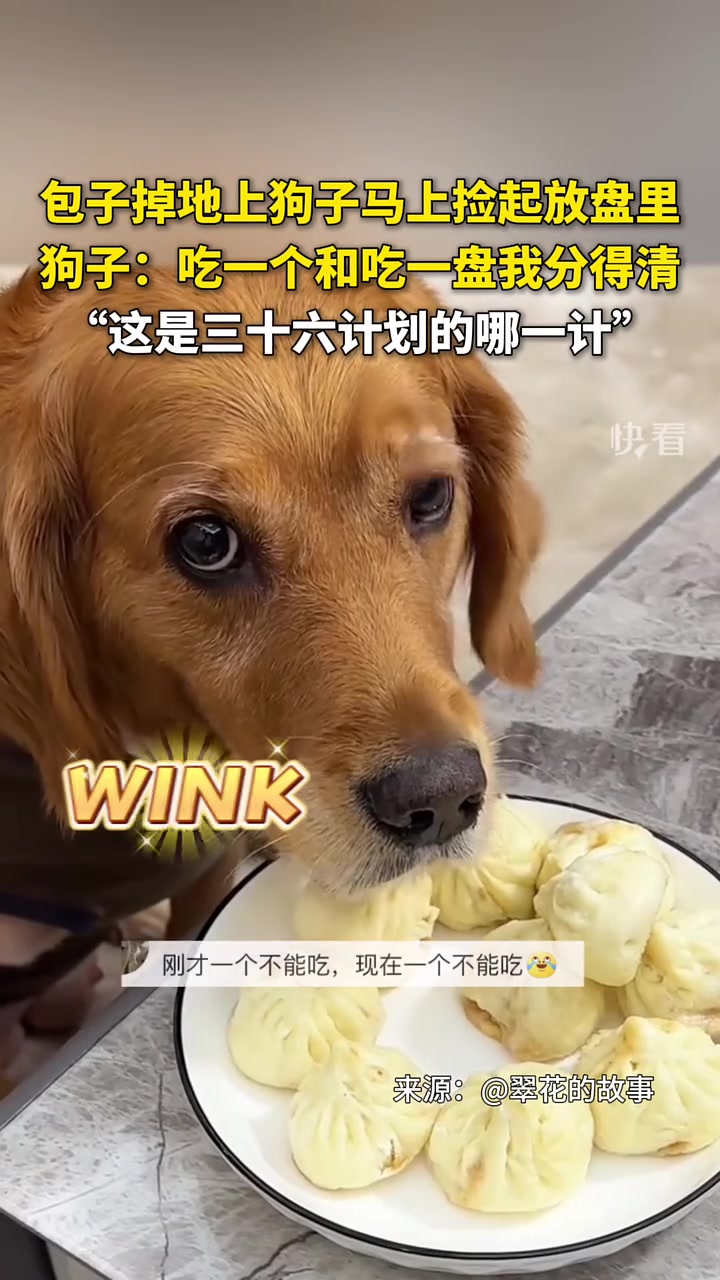 吃一个还是吃一盘狗子还是分得清的
