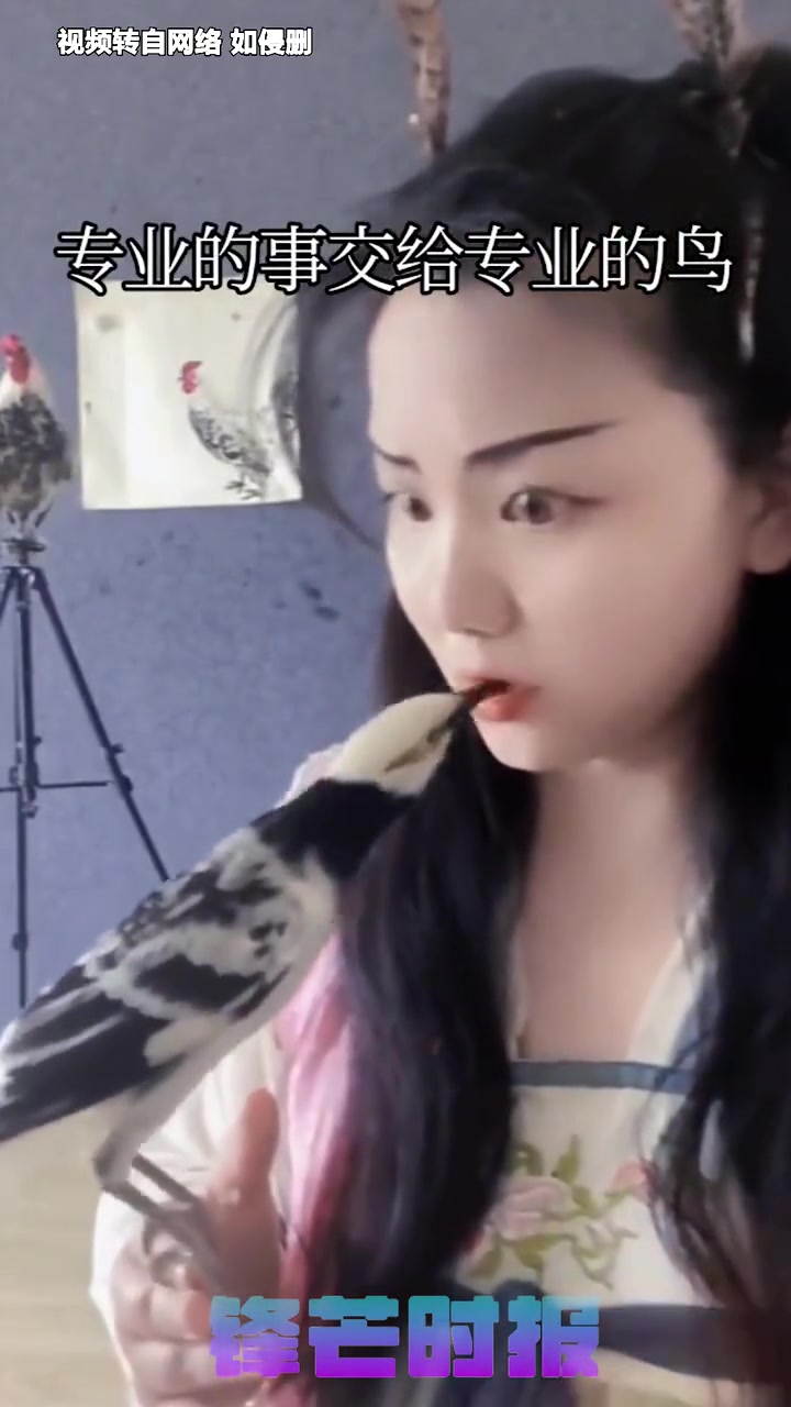 小姐姐是怎么训练的啊鸟竟然会撬开小姐姐的嘴巴