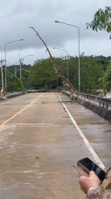 第一眼我以为钓友上大货了