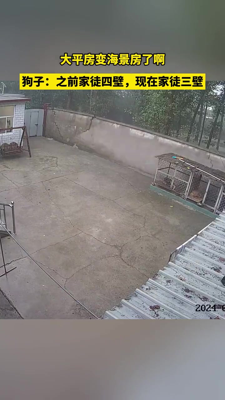 狗子：过会儿就会家徒二壁