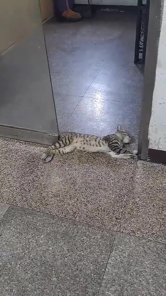 道里道外的门里门外