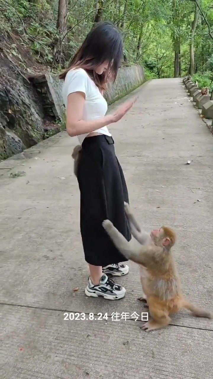 猴哥这是硬上啊，小姐姐魅力这么大