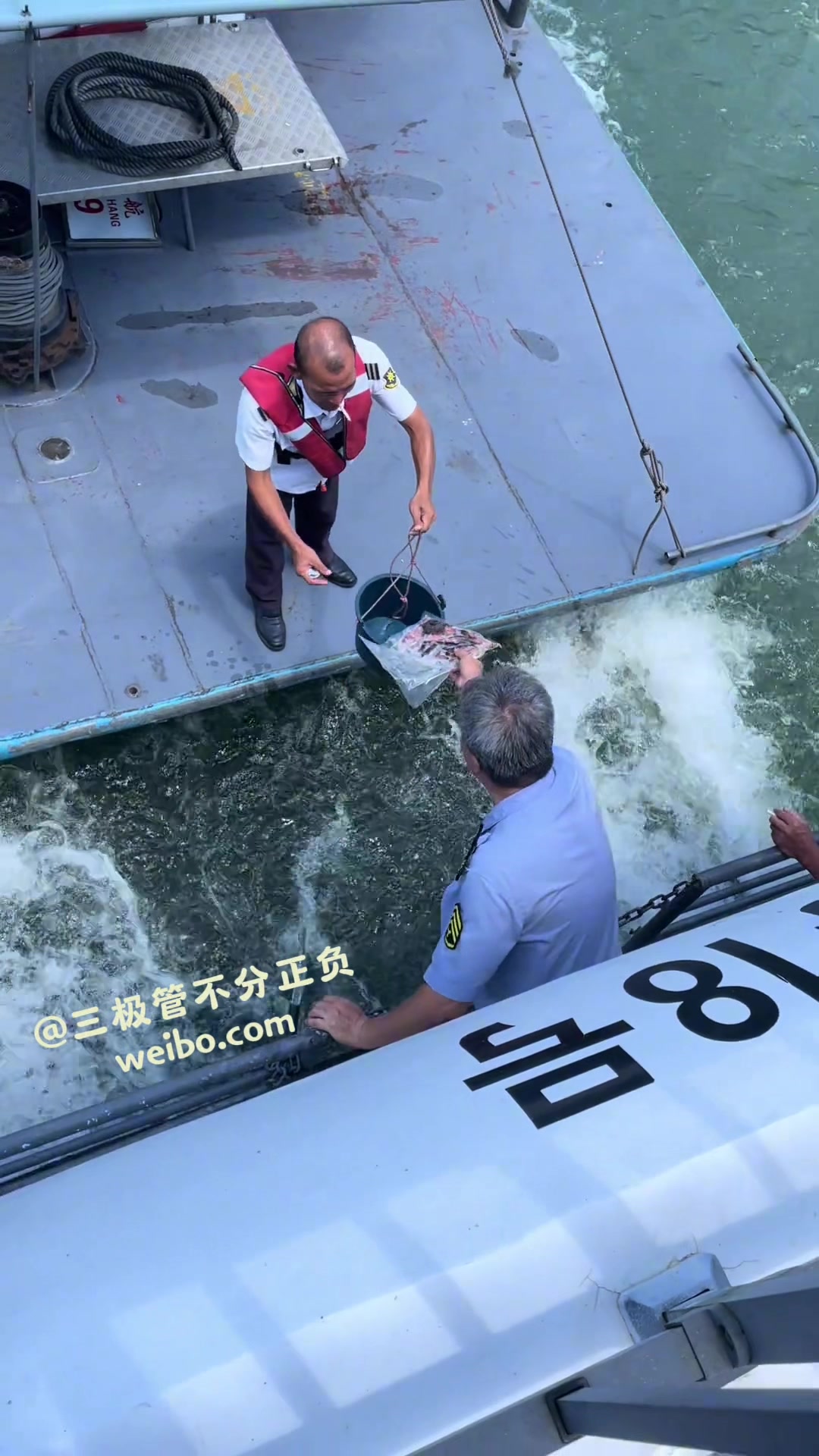 刻舟求剑现实版！游轮上借鱼，没拿稳掉水里了