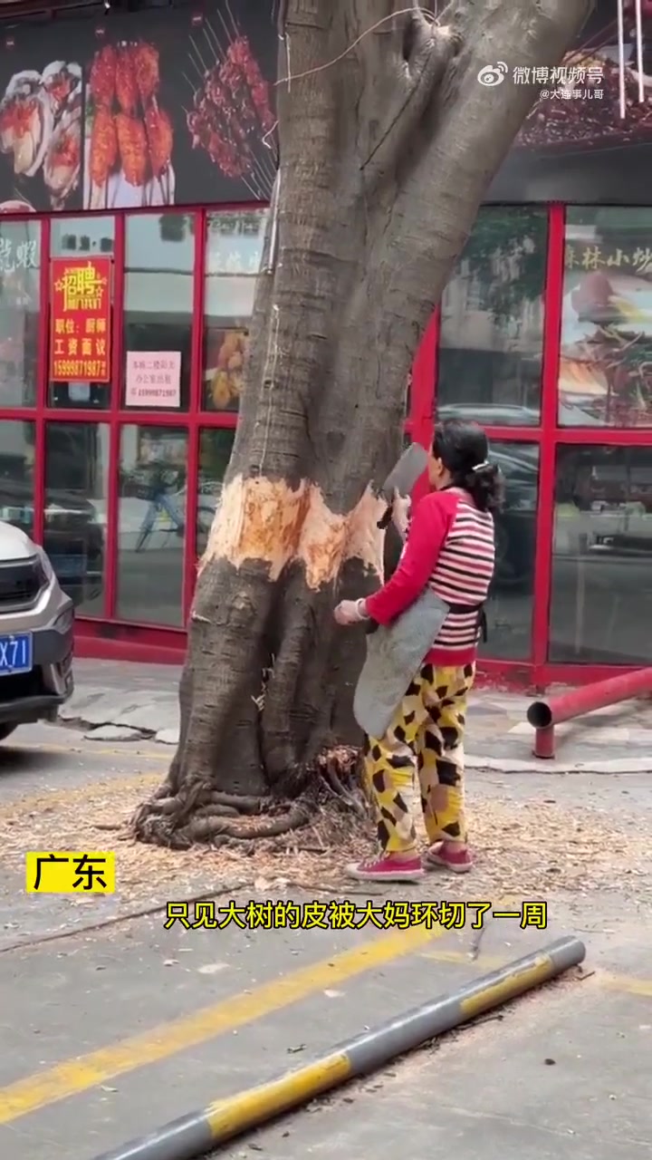 大妈，都不知道你是不是太闲了