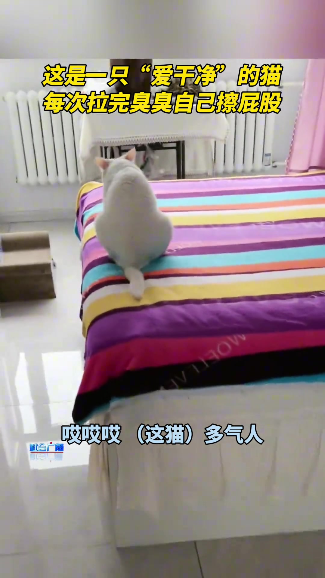 拉完屎用我的被子擦屁股