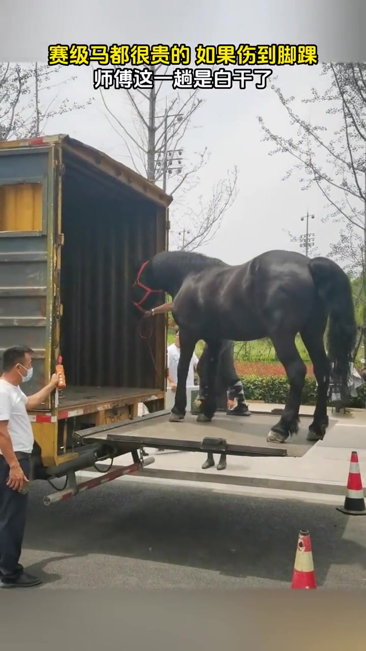 师傅这一趟是白干了！不会还要赔钱吧！