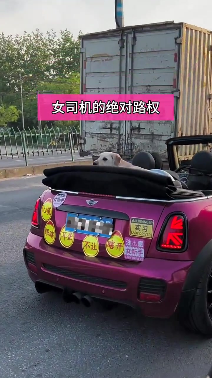 后车司机是不是被女司机吓过啊