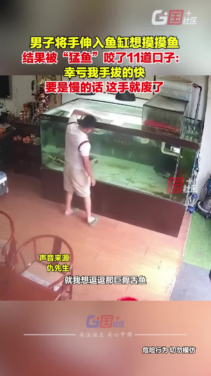 男子手伸入鱼缸想摸摸鱼，结果被“猛鱼”咬了11道口子！