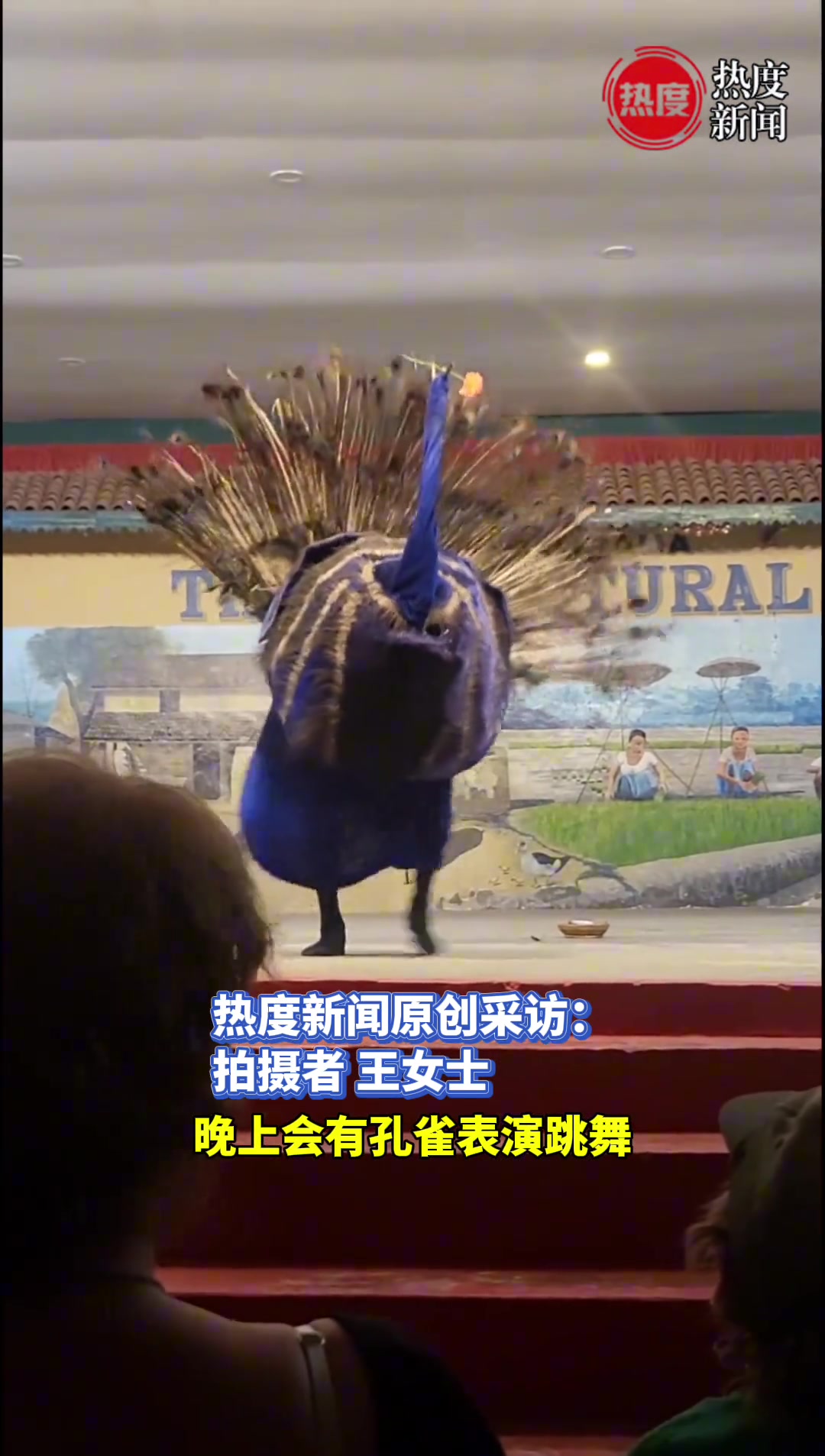 女子旅游导游说有孔雀跳舞，满怀期待观看时，被表演整无语了