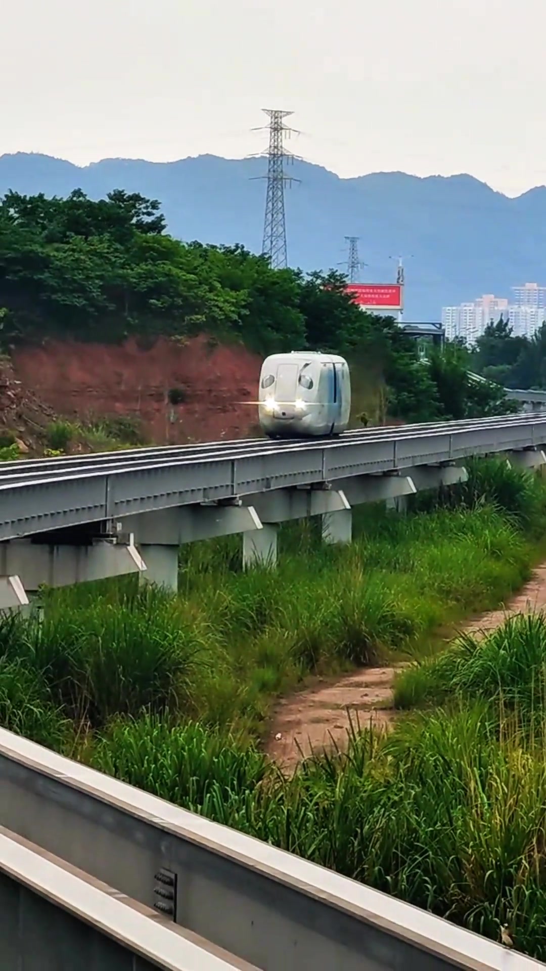 全球首条最短无人驾驶“猪儿虫”，还没满月就出来打工了