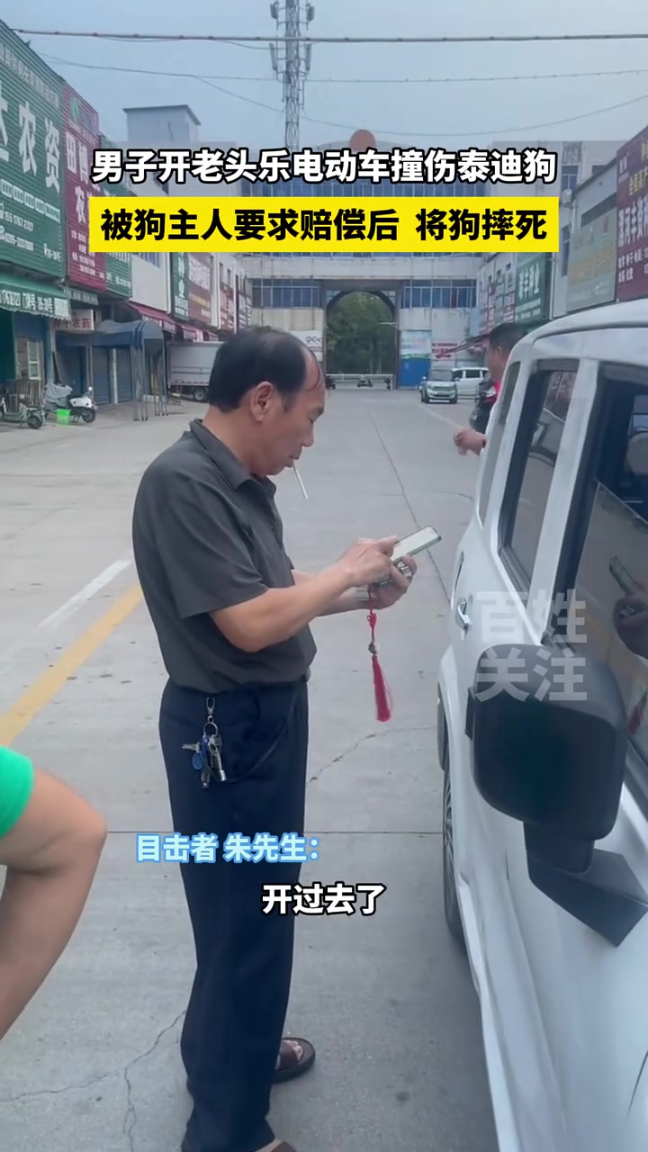 男子开老头乐撞伤泰迪狗！被狗主人要求赔偿后，将狗摔死！
