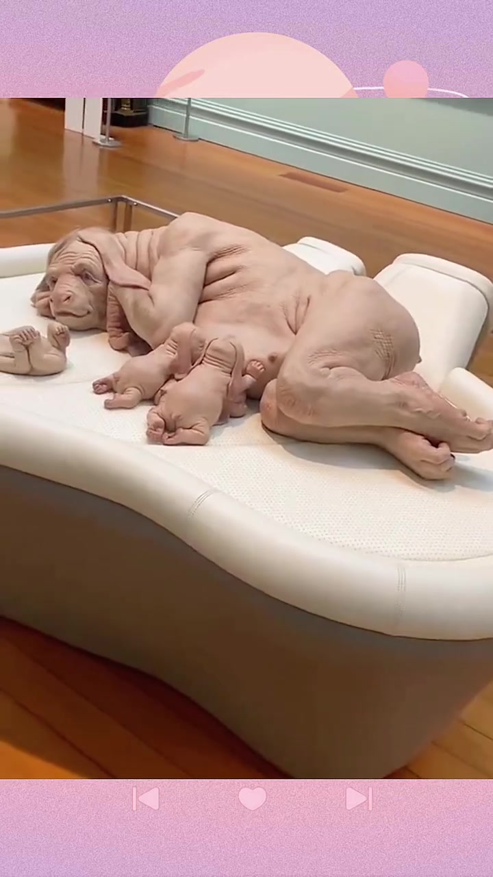 这艺术品也太真了吧有无懂艺术的吧友说下这是什么内涵