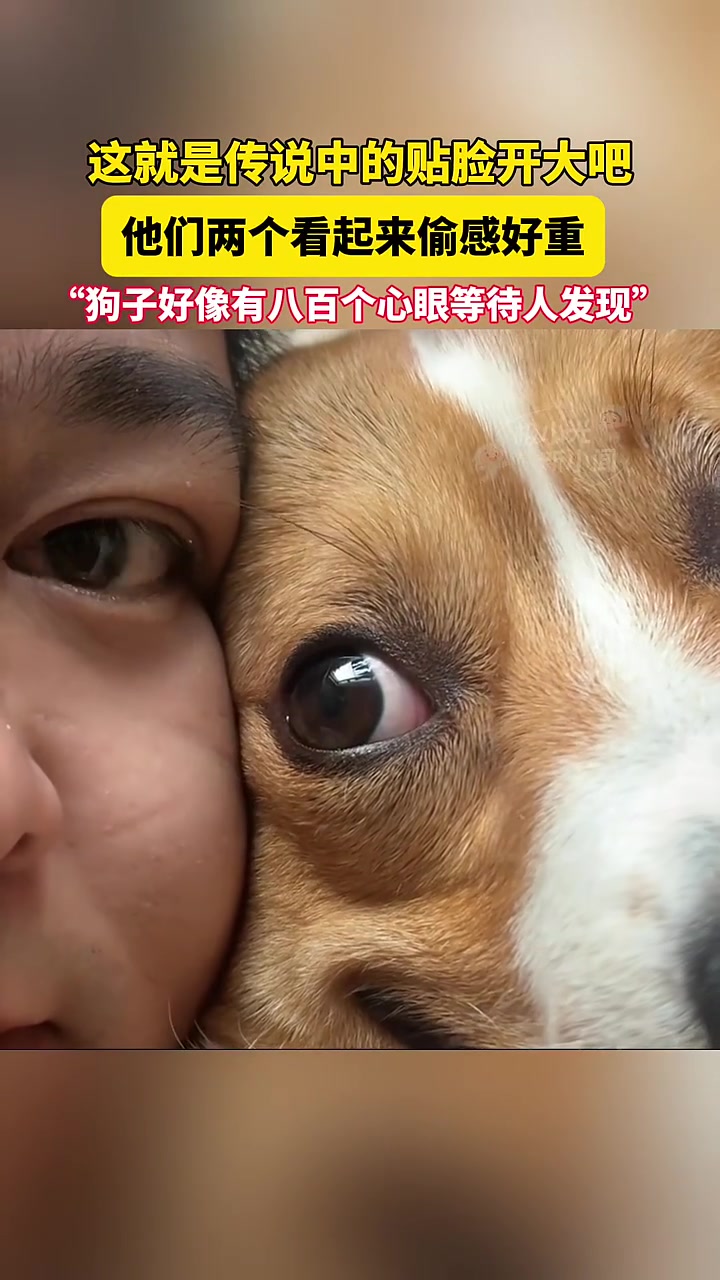 这就是传说中的贴脸开大吧，他们两个看起来偷感好重！