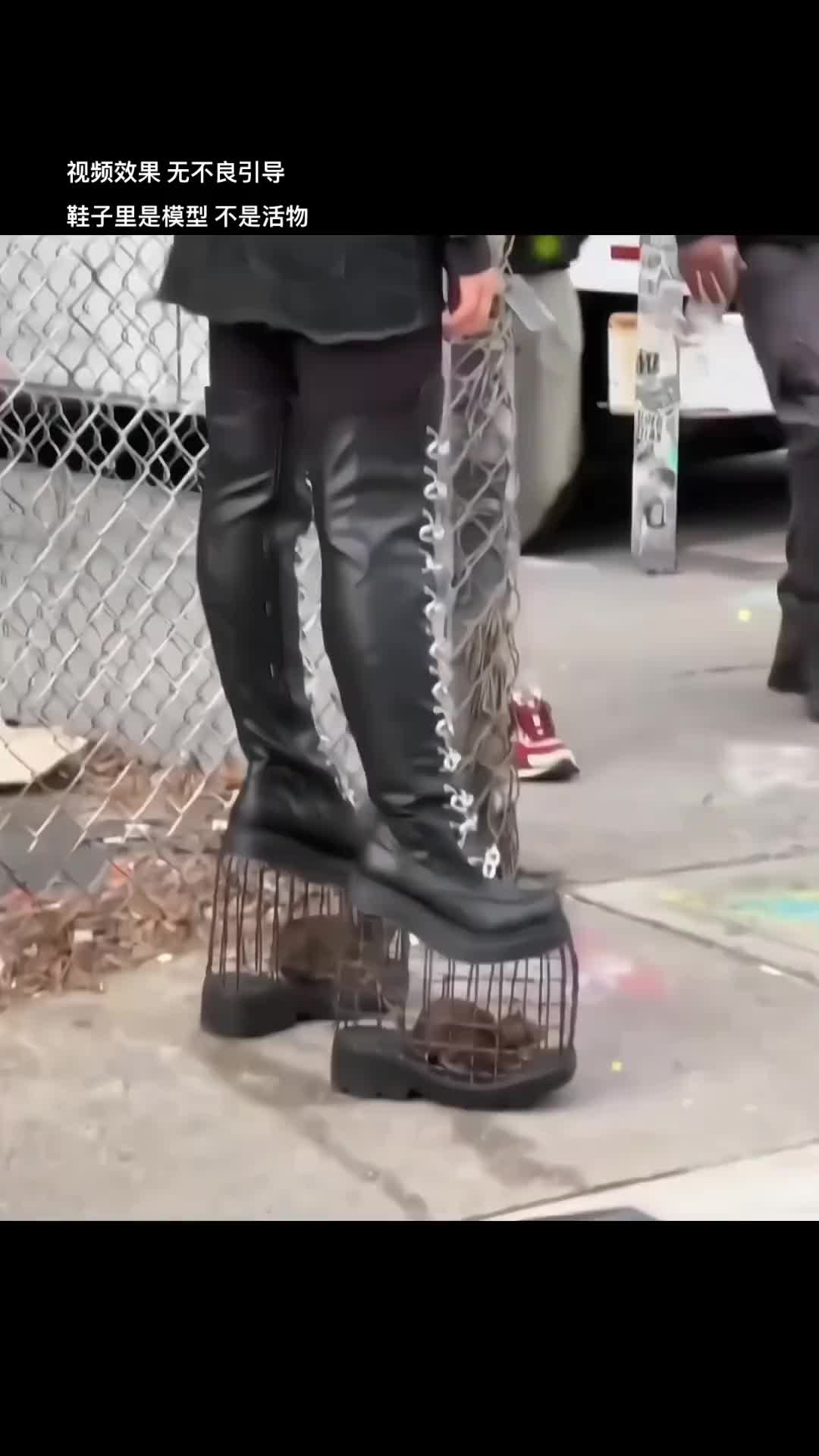 起猛了！给我看到真正的老鼠鞋了