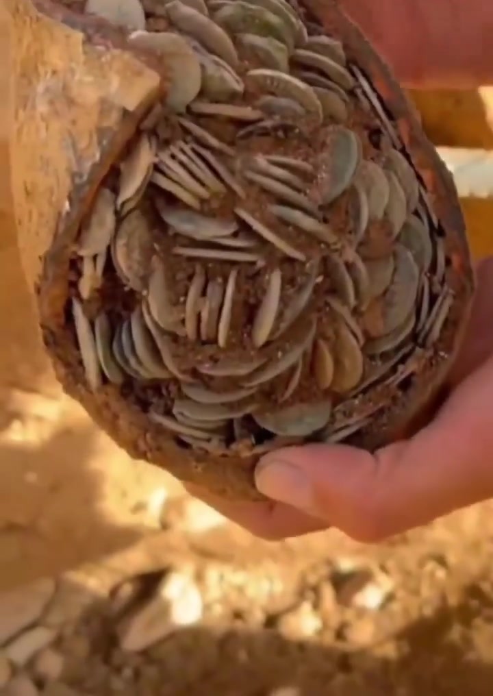 古钱币这种扣法考古学家心都在滴血！