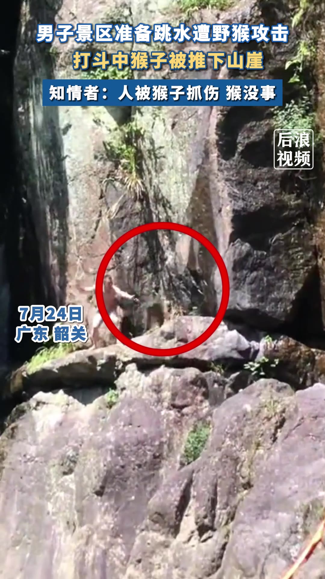 解气！打斗途中猴子被推下山崖！男子在河边准备跳水遭猴子攻击！