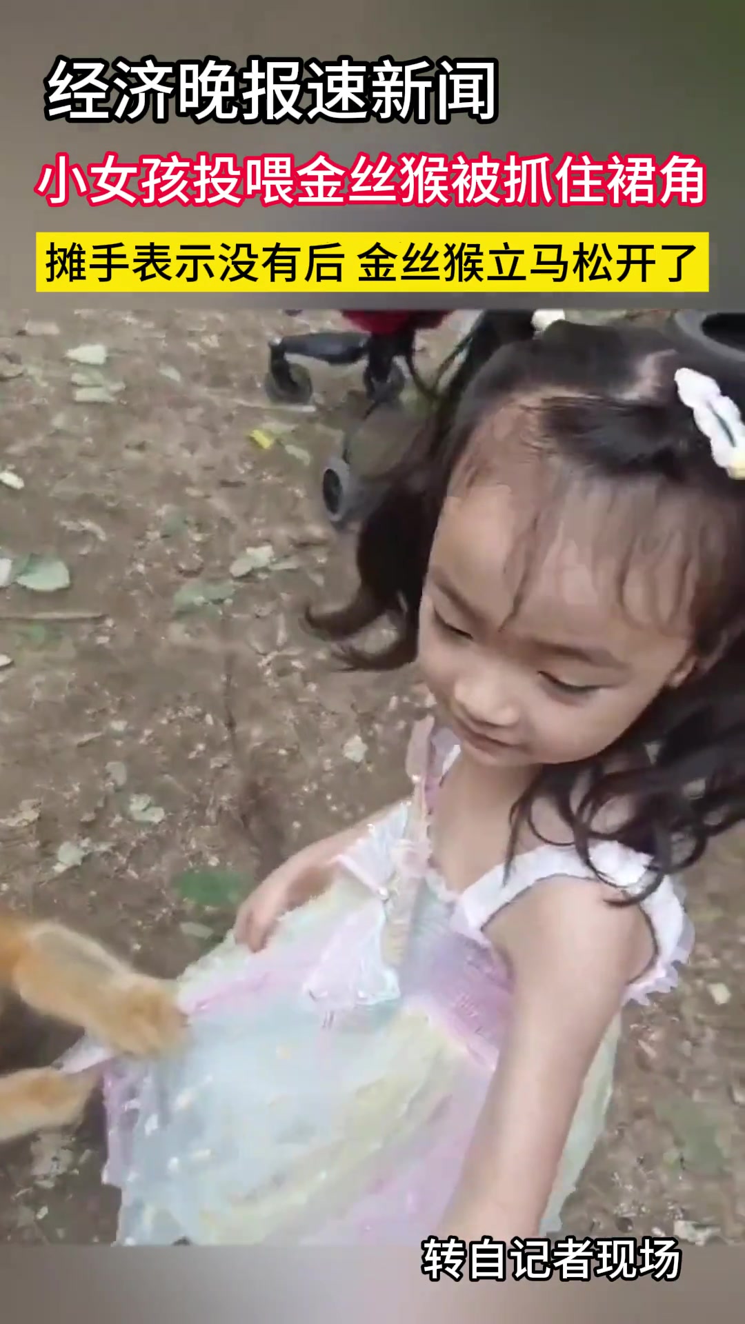 最有教养的吗喽！