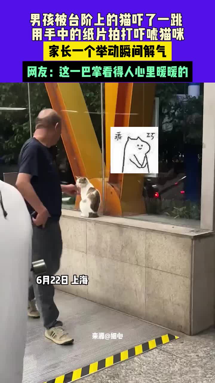 男孩被猫吓了一跳，用手中纸片吓唬猫咪，家长一个举动瞬间解气