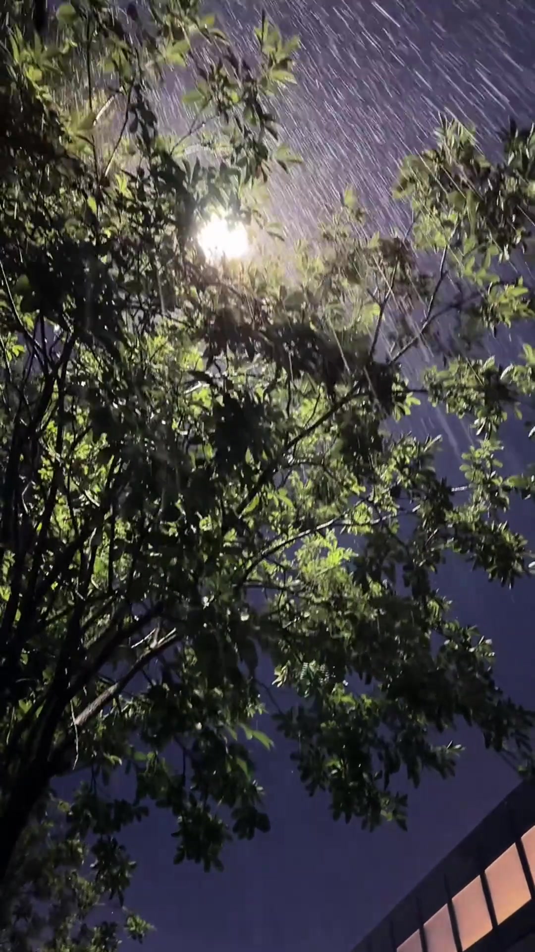 雨快停了，夏天也马上结束了