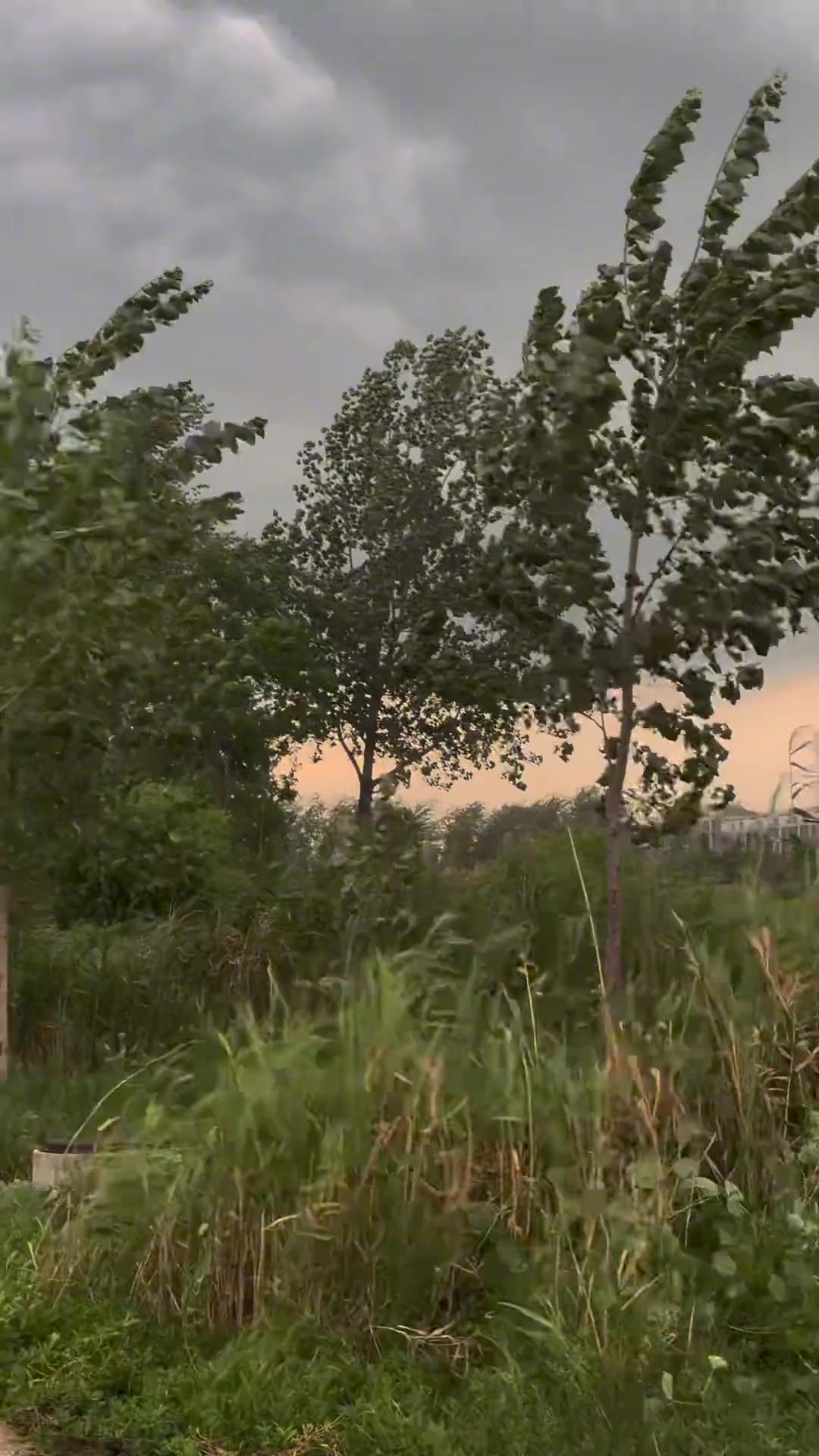 你以为三五年很长，其实风一吹就什么都不剩了