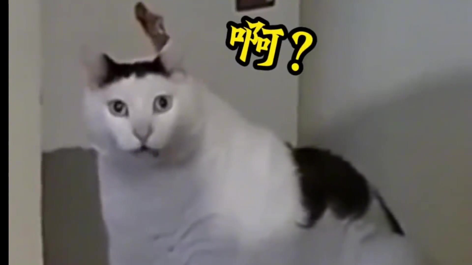 送外卖第一次遇到提这种要求的