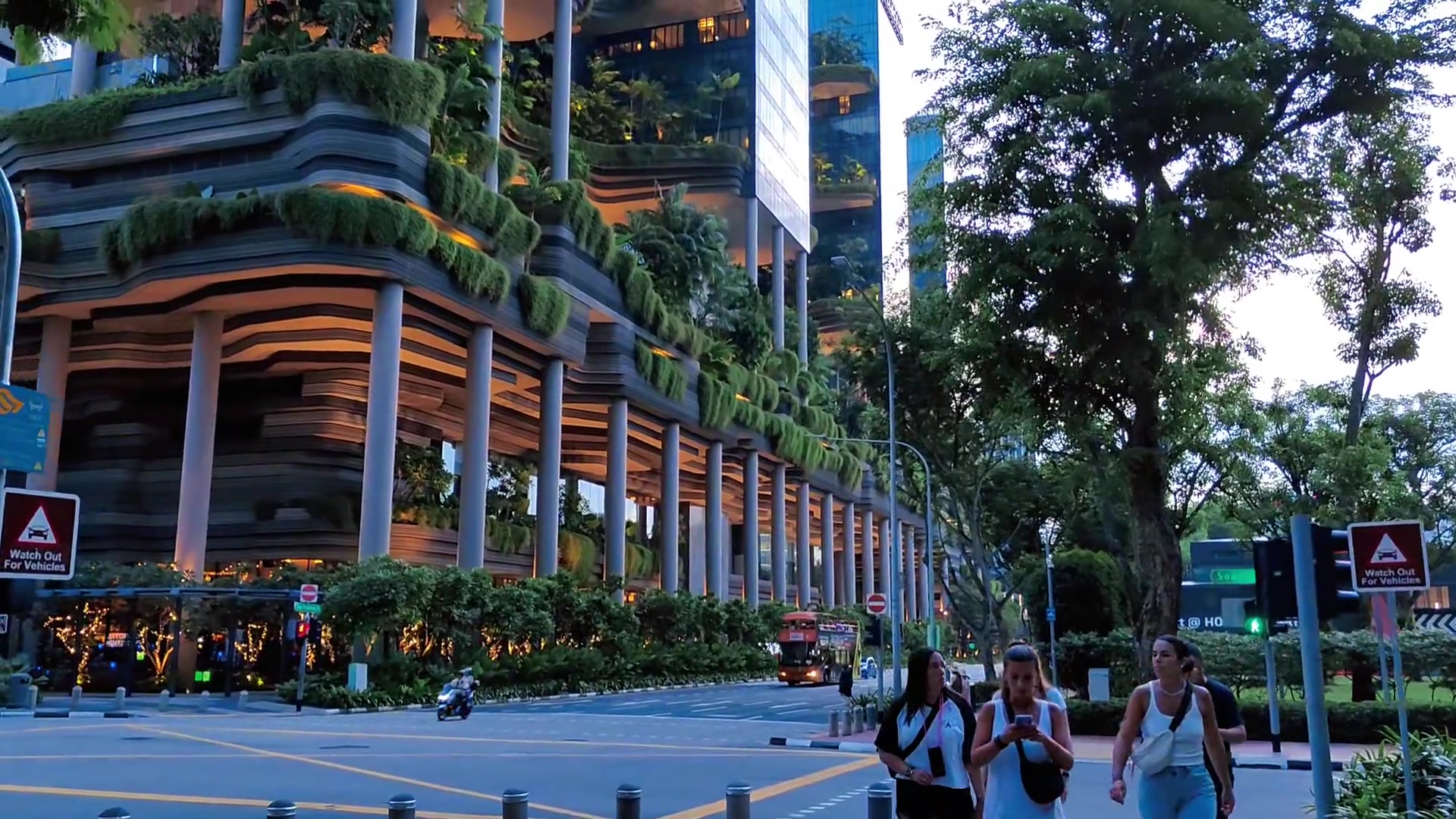 一眼震撼！新加坡不愧是亚洲的城市花园