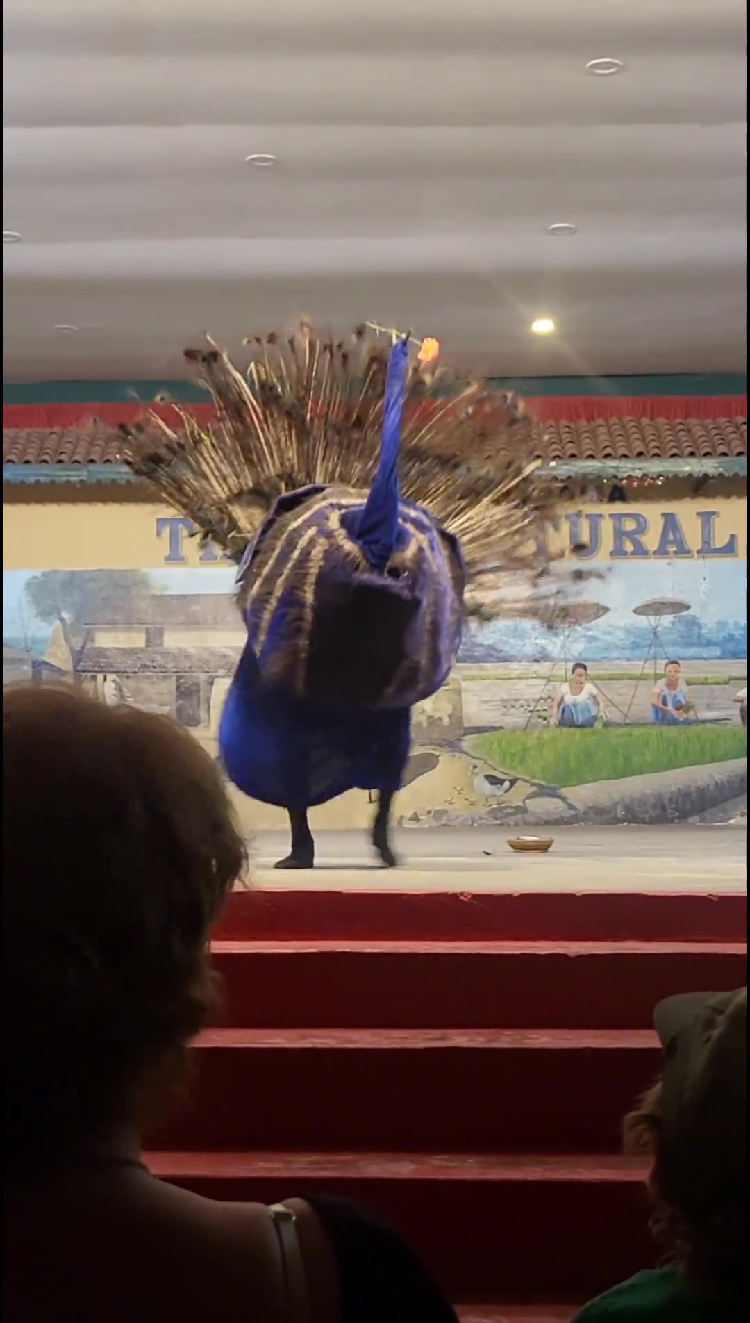 年会节目有了上来直接一个孔雀舞