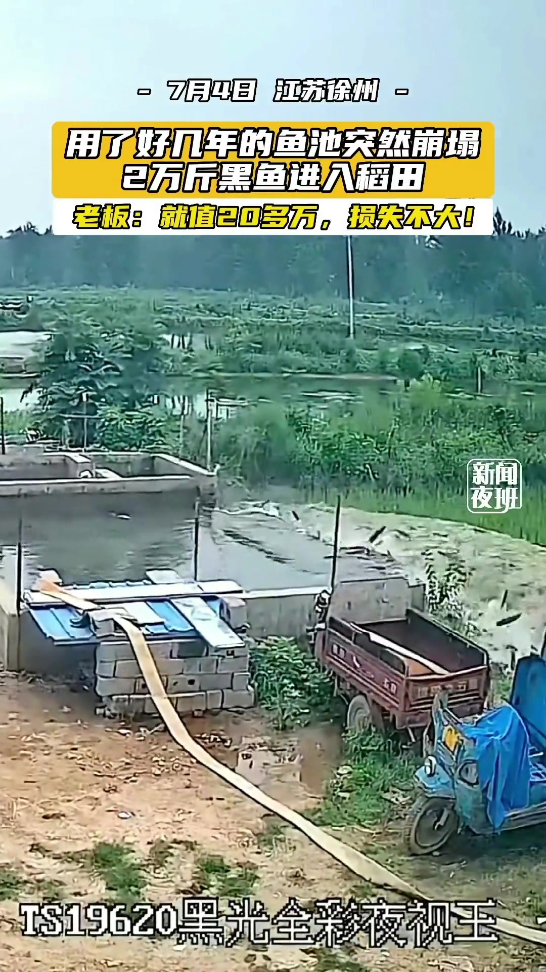 鱼池突然坍塌！池子里的鱼全部跑了！