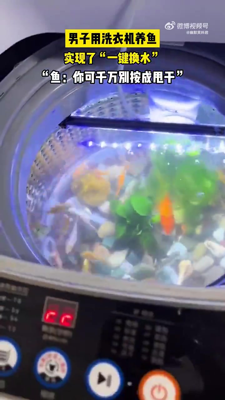 洗衣机这一辈子也没想到自己还能养鱼