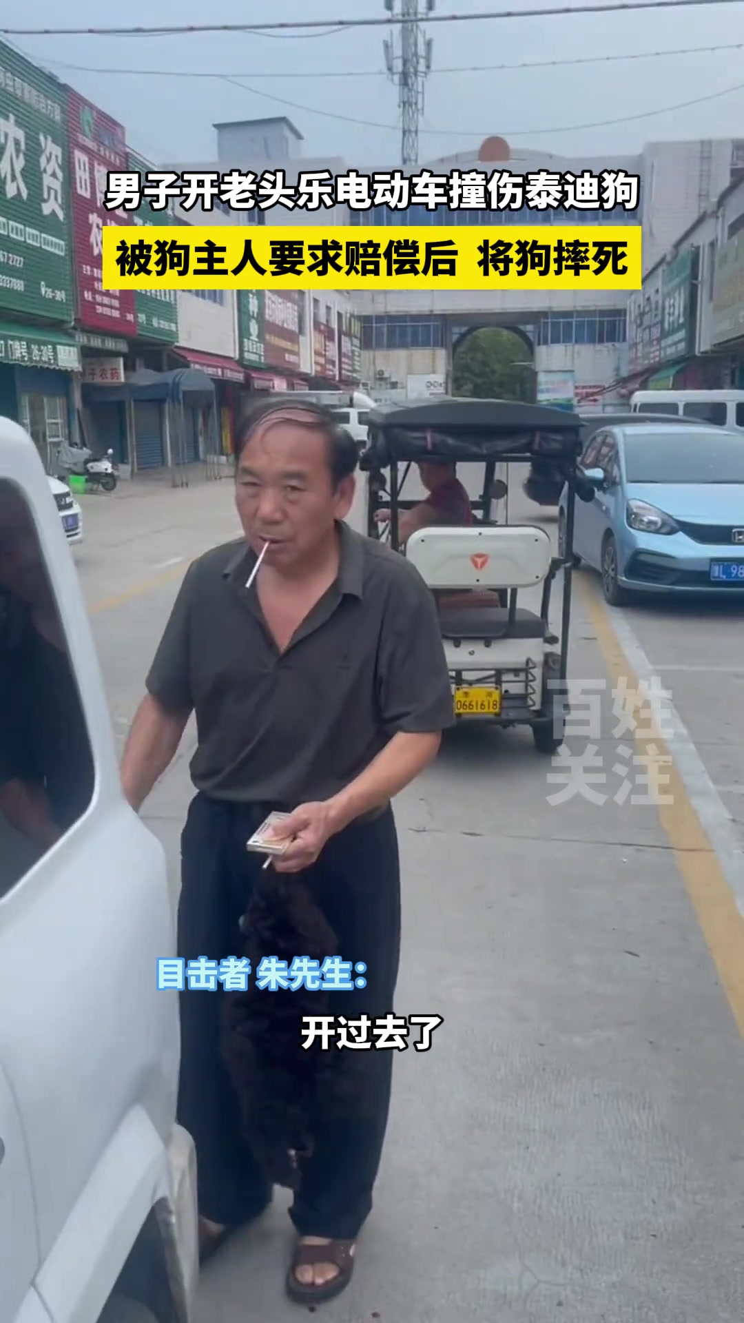 男子开老头乐电动车撞伤泰迪狗被狗主人要求赔偿后将狗摔死