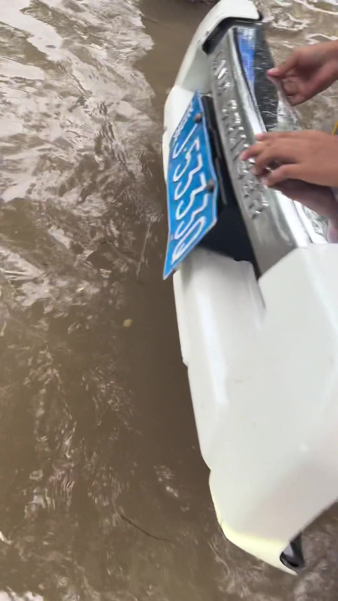 这是谁的前脸快来认领