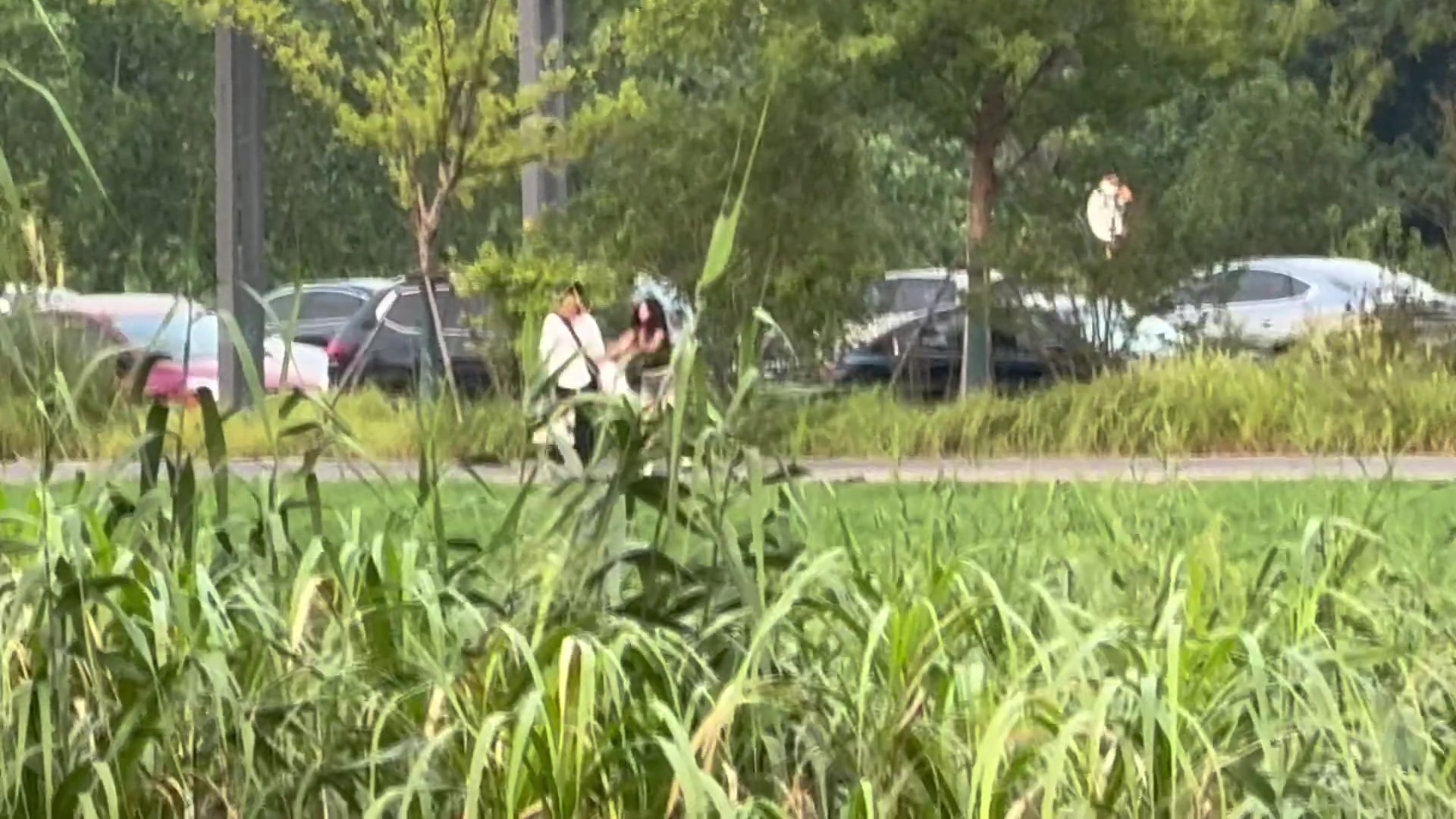 因男朋友拍照拍不好，女子就摔东西走人！