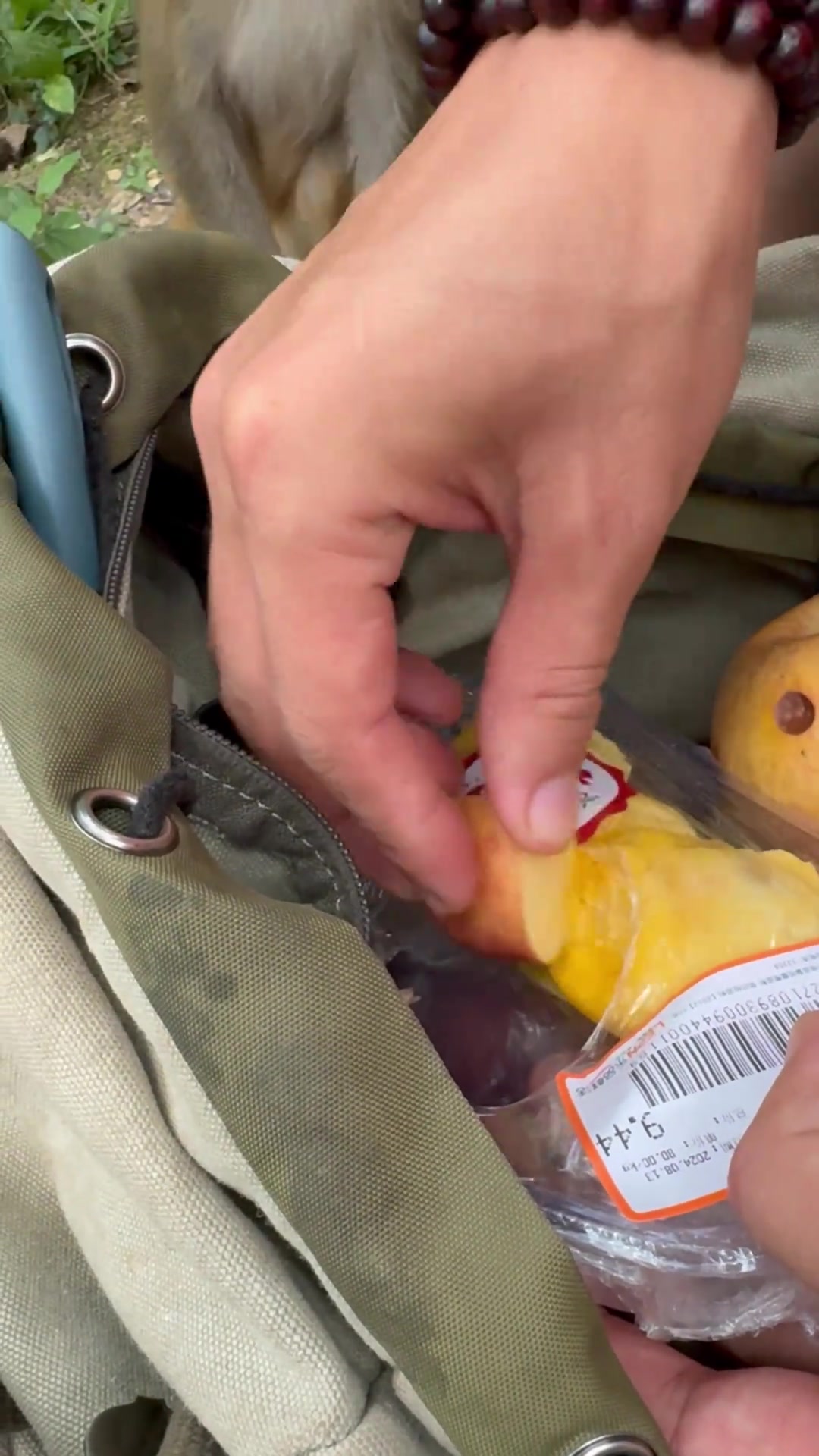 当猴子吃到了榴莲味的苹果！