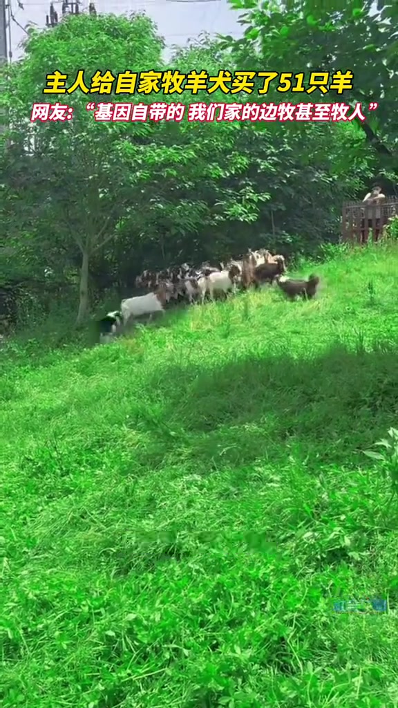 属于是基因觉醒了