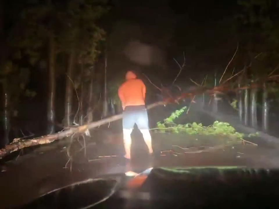 出来两个鲁智深