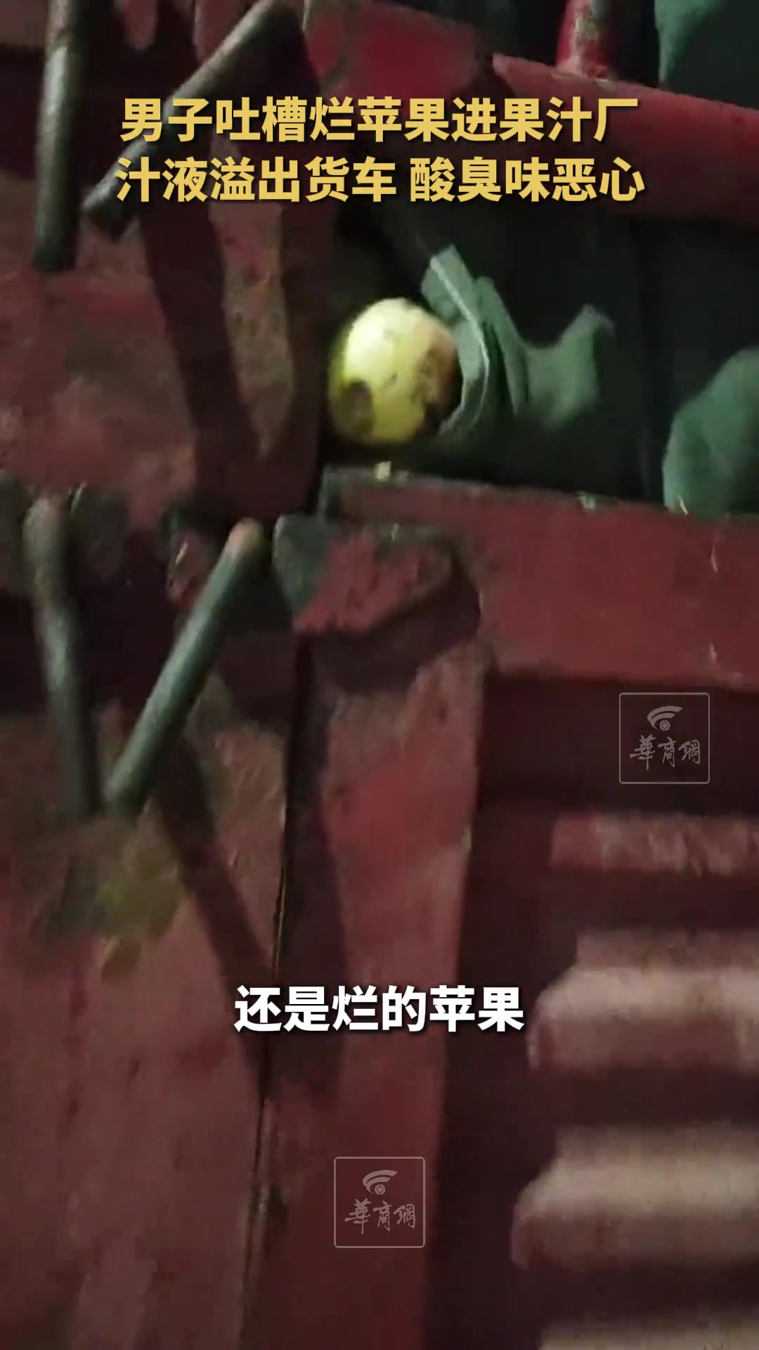 男子吐槽烂苹果进果汁厂榨果汁太恶心！
