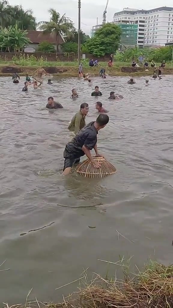 很特殊的捕鱼方式