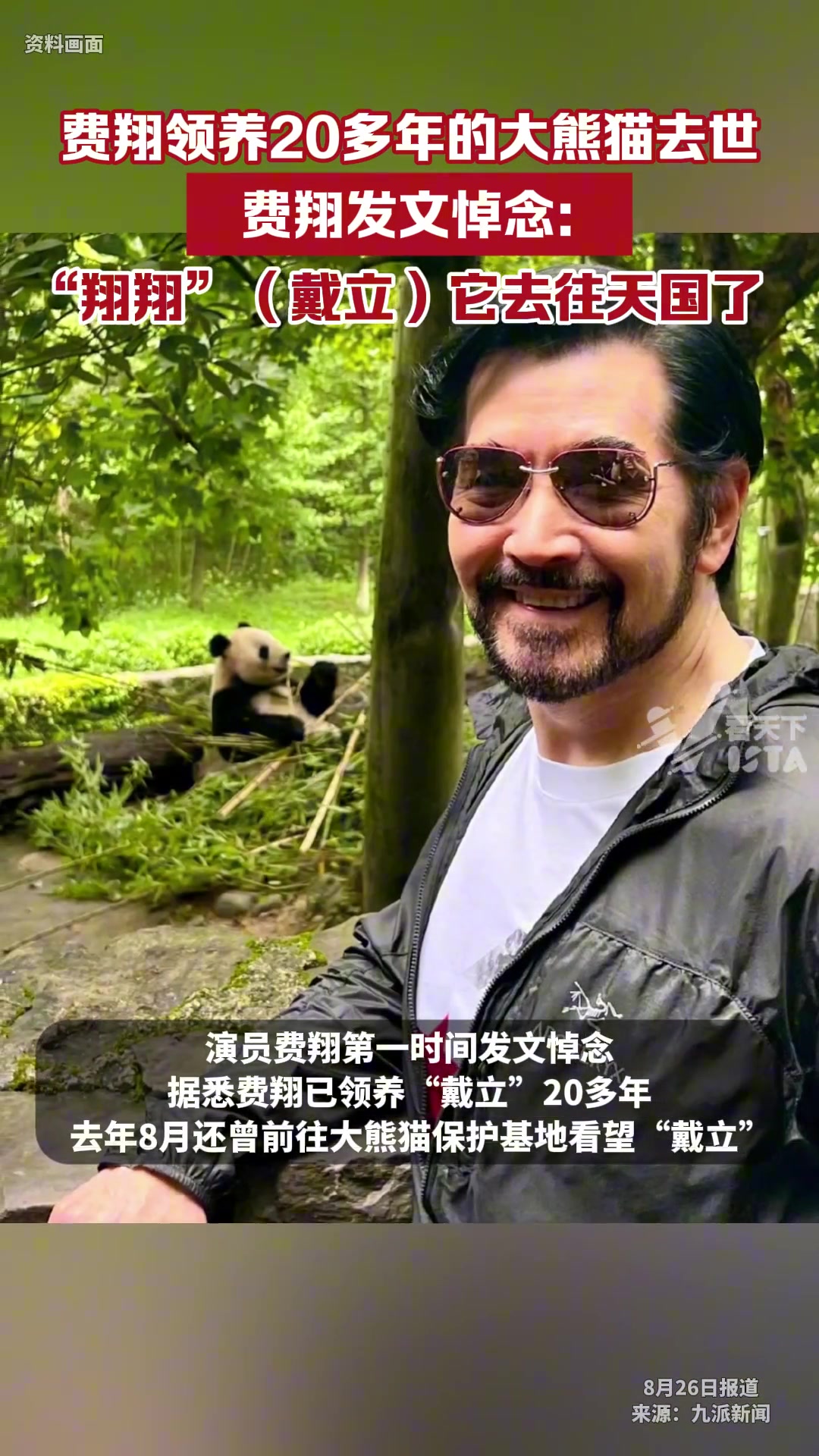 费翔领养20多年的大熊猫“戴立”去世，费翔发文悼念