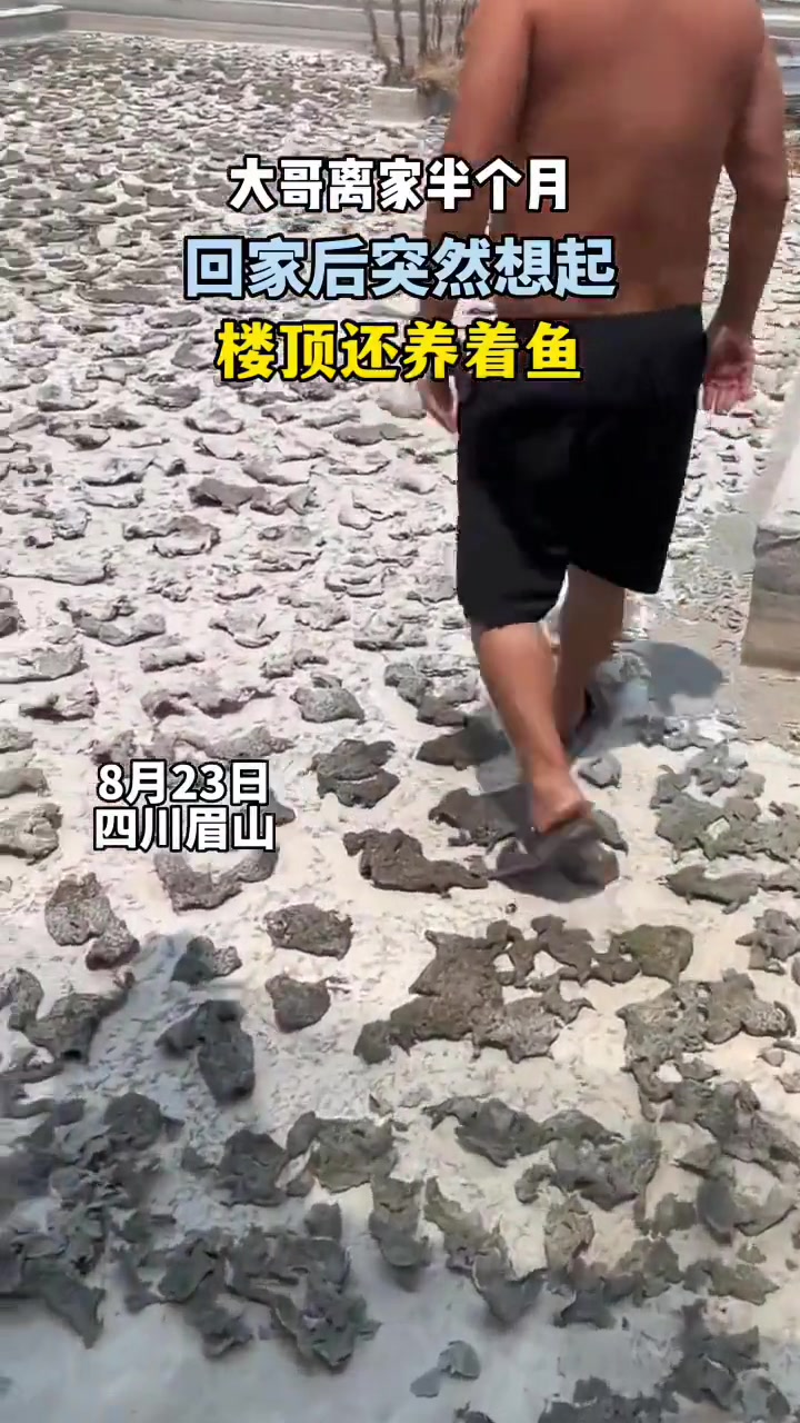 想象一下水快没了鱼们拼命拍打的样子