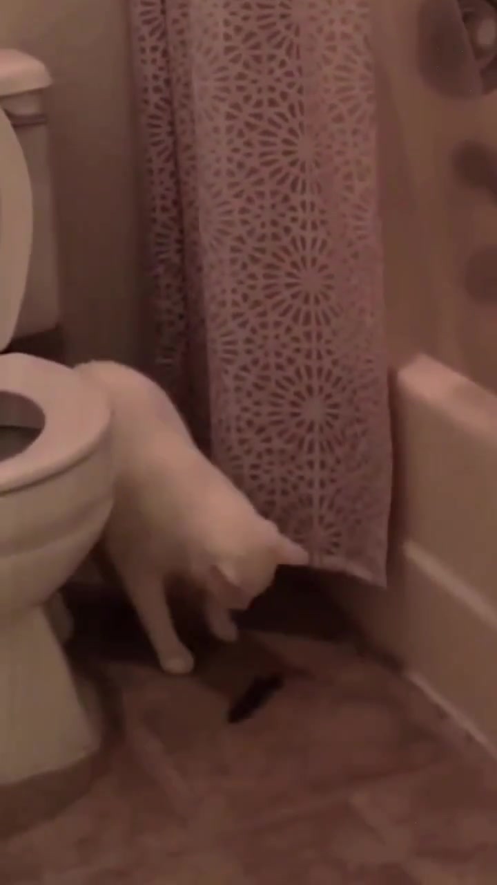 以为拉出来了没想到卡屁股毛上了